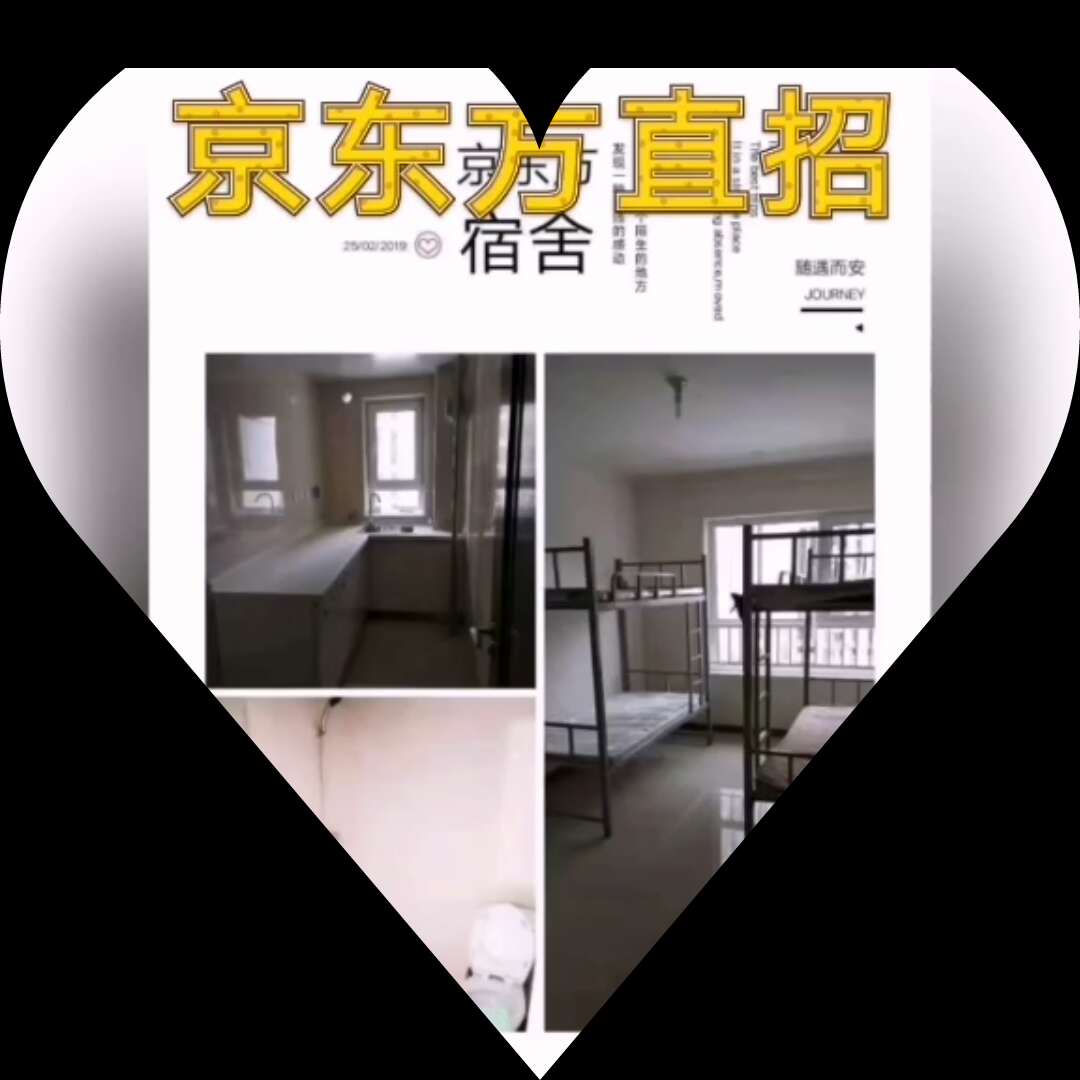 河北廊坊京东方