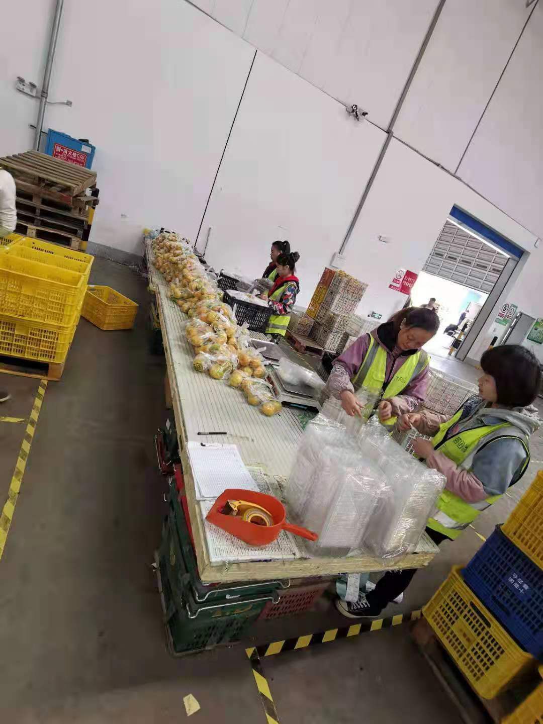 湖南长沙长沙开福区果蔬分拣月薪6