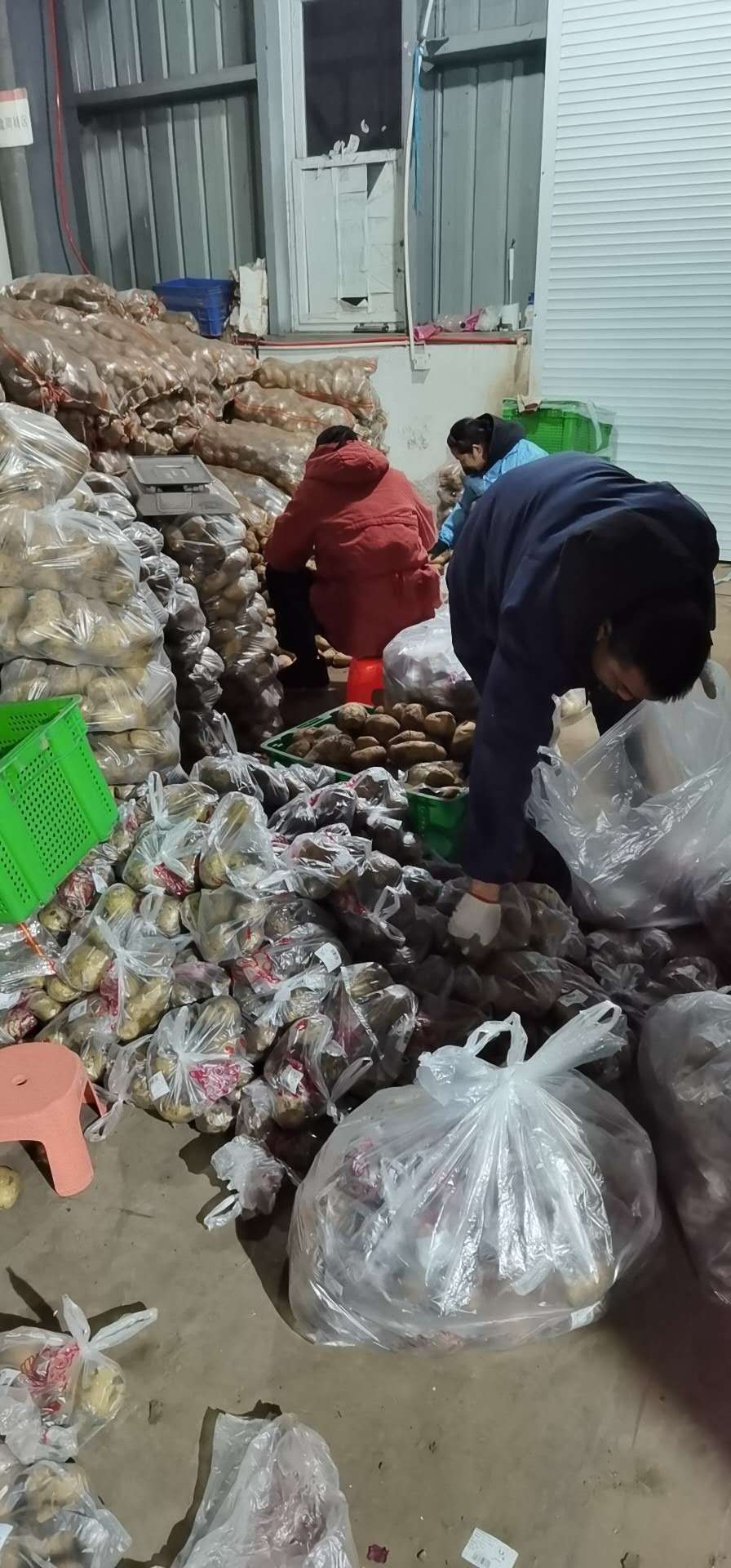 浙江宁波招工,蔬菜包装分拣工十八元每小时,工资日结地址杉杉路